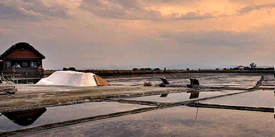 hotel matteo saline di cervia