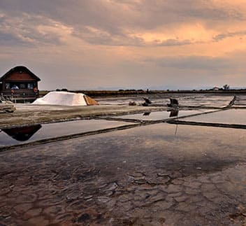 matteo pinarella cervia saline